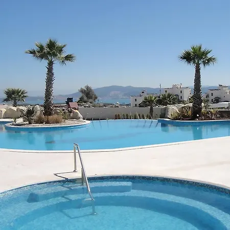 Horizon Sky Coconut 4 Kıyıkıslacık